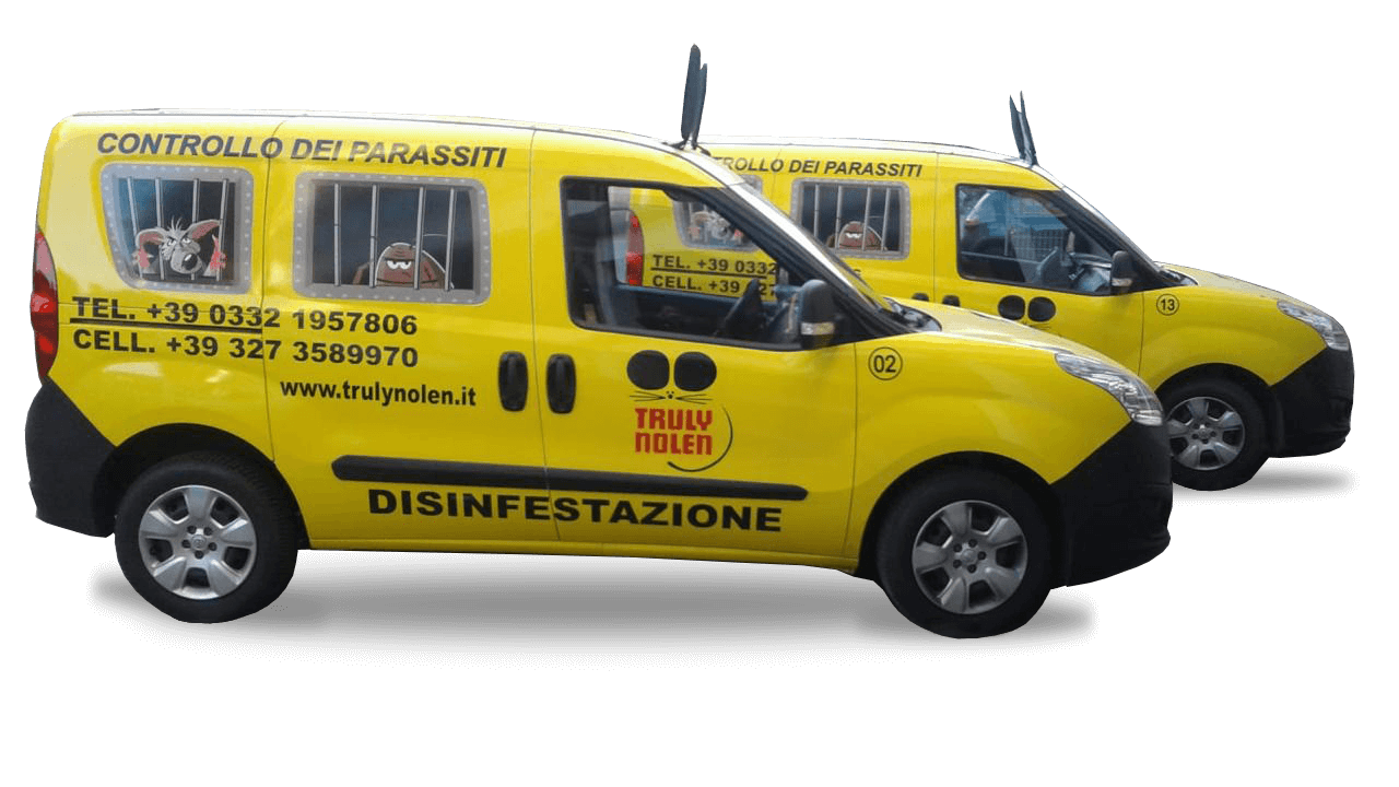 Truly Nolen Desinfestazione